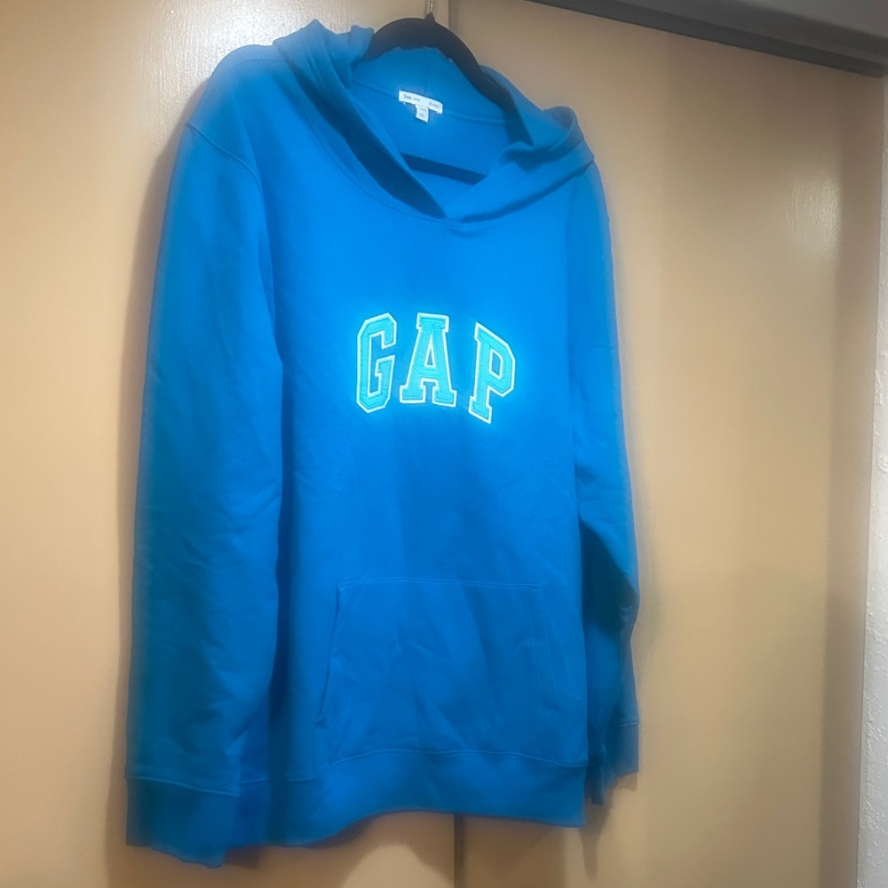 GAP Blue Hoodie